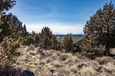 2023_03_17_lot_38_cinder_cone_loop_crr-2