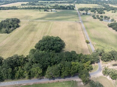 Tbd Begnaud Rd unit Lot 1, Sunset, LA 70584 - photo 3