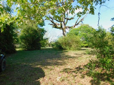 24413 Fifth Ave, Florala, AL 36442 - photo 4