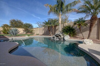 Amazing backyard pool