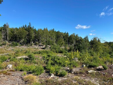 Wooded Hillside