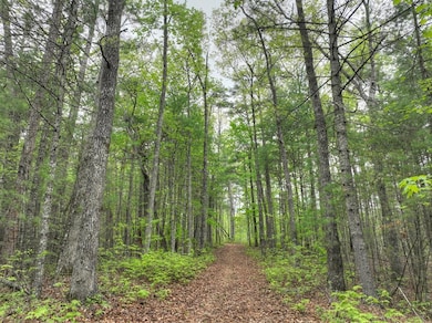 Lot 14 Watersong Trail, Ellijay, GA 30540 - photo 3