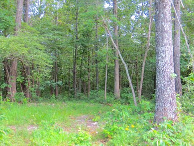 262 Wedgewood Ln, Mammoth Spring, AR 72554 - photo 3