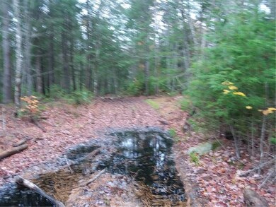 aprox 50 yards into the property
