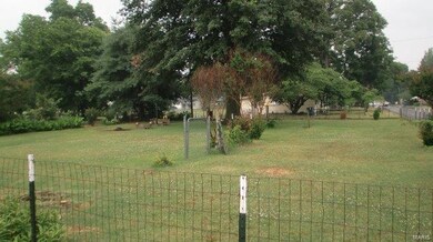 936 Davis St, New Madrid, MO 63869 - photo 5