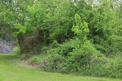 View of land from left