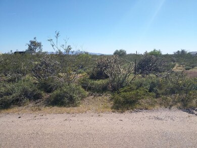 IMAG0107