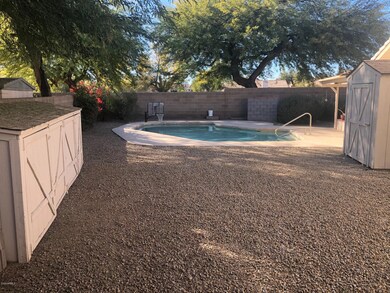 Side Yard and Pool