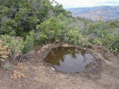 000 X 1 2 Rd, de Beque, CO 81630 - photo 7