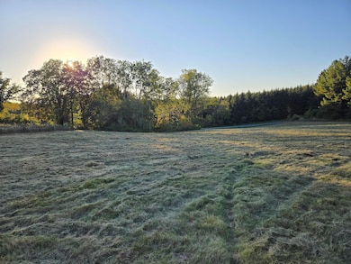 20250925_180342 copy