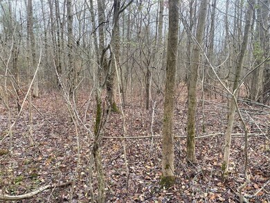 0 County Road 15 unit S1651526, Granger, NY 14735 - photo 6