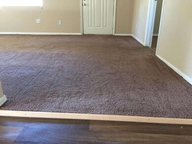 NEWER CARPET II