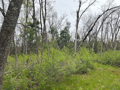 6986 W Baldwin Rd, Baldwin, MI 49304 - photo 7