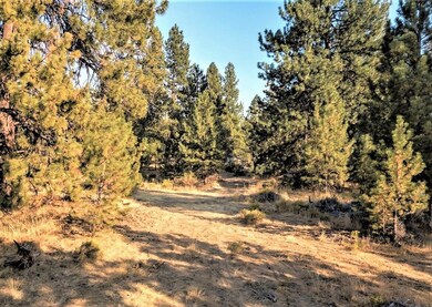 60019 Cheyenne Rd, Pic 3 (3)
