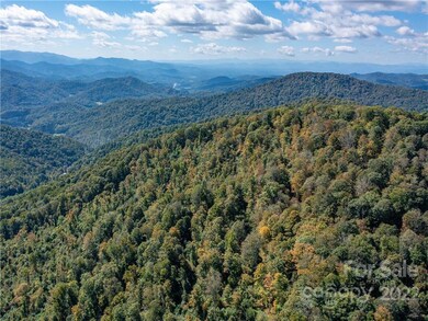 000 Simms Fork Rd, Burnsville, NC 28714 - photo 5