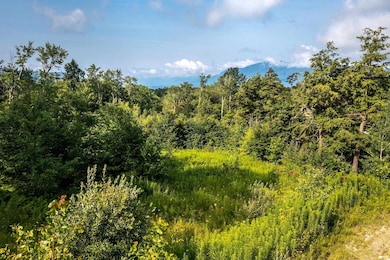 Lot 3 Route 11 30, Winhall, VT 05340 - photo 6