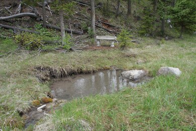 1100 Spring Hill Rd, Kila, MT 59920 - photo 5