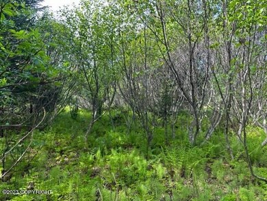 thumbnail_IMG_1699