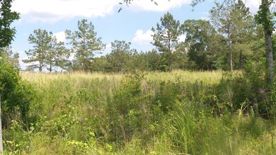 172 Dykes Rd, Soso, MS 39480 - photo 6