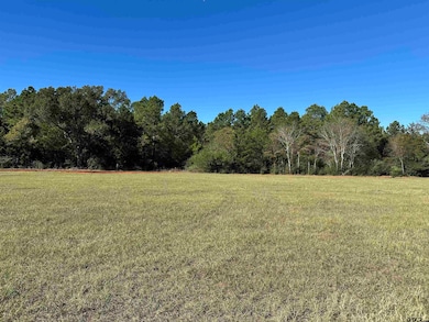 12B  / TBD Old Spanish Trial Dr, Alto, TX 75925 - photo 2