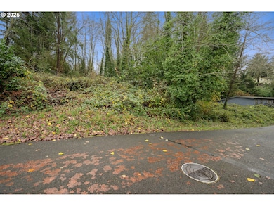 0 St, Nehalem, OR 97131 - photo 2