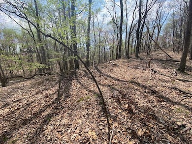 155 Chelaque Way, Mooresburg, TN 37811 - photo 3