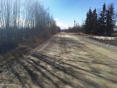 2669 S Walnut Wood Dr, Big Lake, AK 99652 - photo 2