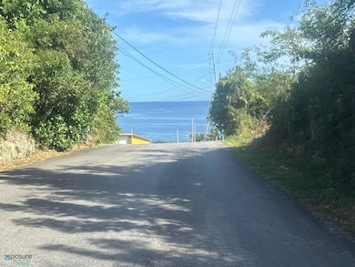 Carr 648 Bo Tierras Nuevas Saliente unit Lote 9-E, Manatí, PR 00674 - photo 6