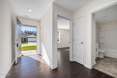 1038 Persimmon Hollow, Greeneville, TN 37745 - photo 4