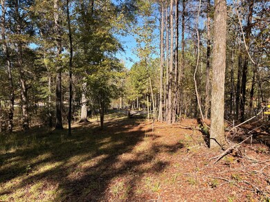 4570 Cabin Rd, McCalla, AL 35022 - photo 5