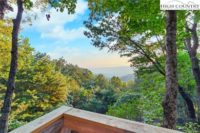 2095 Elk Ridge Rd, Ferguson, NC 28624 - photo 4