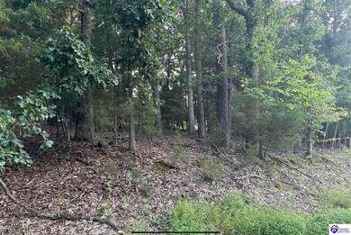 539 Strawberry Hill Dr, Doe Valley, KY 40108 - photo 3