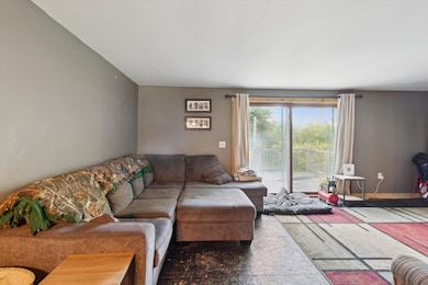 07-23901-22-Mile-Rd-Paris-MI-49338-Windo