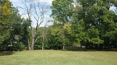 View of back yard from patio.