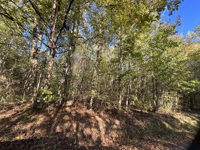 0 Ponder Creek Rd unit 1524239, La Fayette, GA 30728 - photo 5