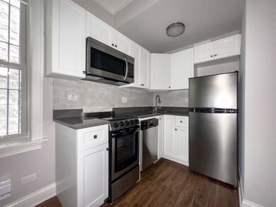 640 W Wrightwood Ave unit 103, Chicago, IL 60614 - photo 4
