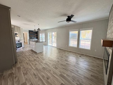 1303 Mitchell Cir, Summerville, GA 30747 - photo 2