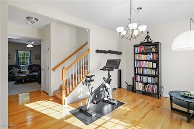 3209 Fenmore Ln, Aurora, OH 44202 - photo 2