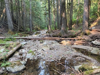 1876 Timber Creek Rd, Haugan, MT 59842 - photo 4