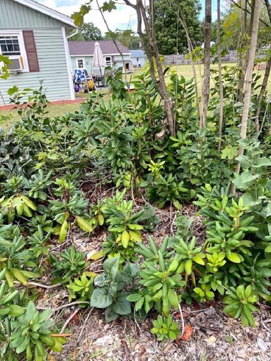 33 James St, Charlestown, NH 03603 - photo 5