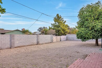 Backyard3