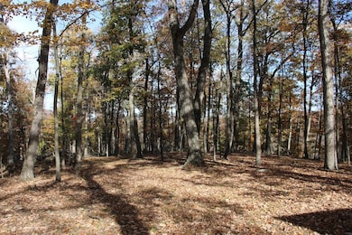 0 Easter Ridge Ln unit LotWP007A 23743104, Gainesboro, VA 22603 - photo 3