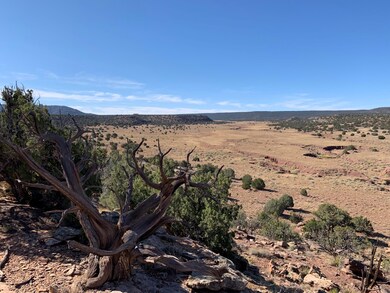 View of the Martinez Draw.