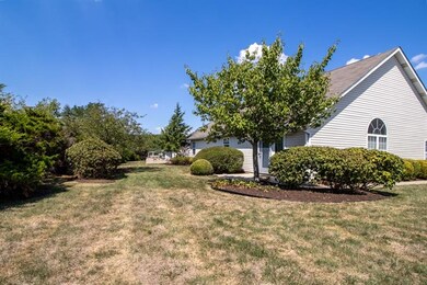 Back yard - full view