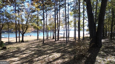 410 Cedar St, Lavonia, GA 30553 - photo 5