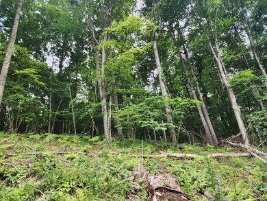 TBD Starmount Ln, Galax, VA 24333 - photo 7