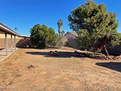 Backyard 2