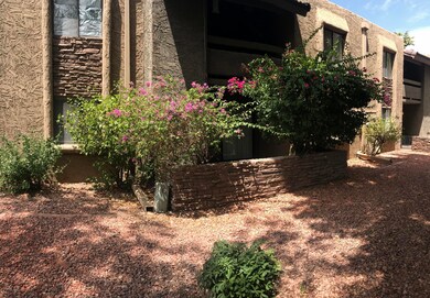 Back patio