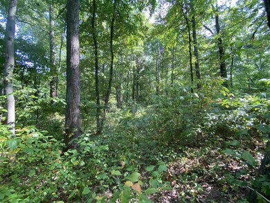 00 State Road 45, Bloomfield, IN 47424 - photo 6