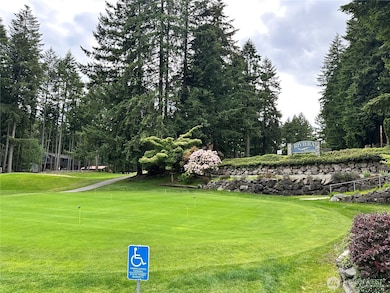 10412 Edgewood Dr, Anderson Island, WA 98303 - photo 5